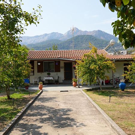 Olive Summer House Chrysi Ammoudia Exterior photo