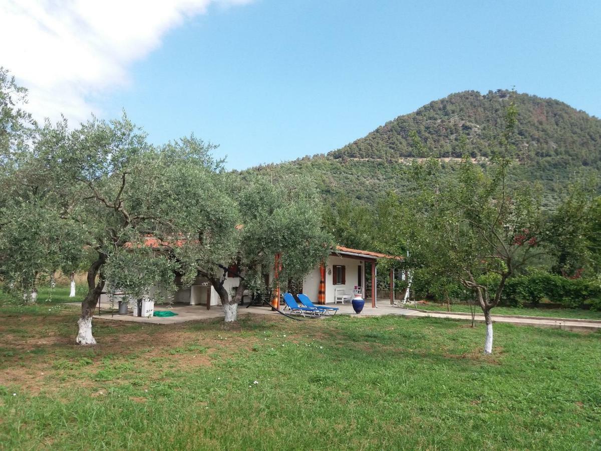 Olive Summer House Chrysi Ammoudia Exterior photo