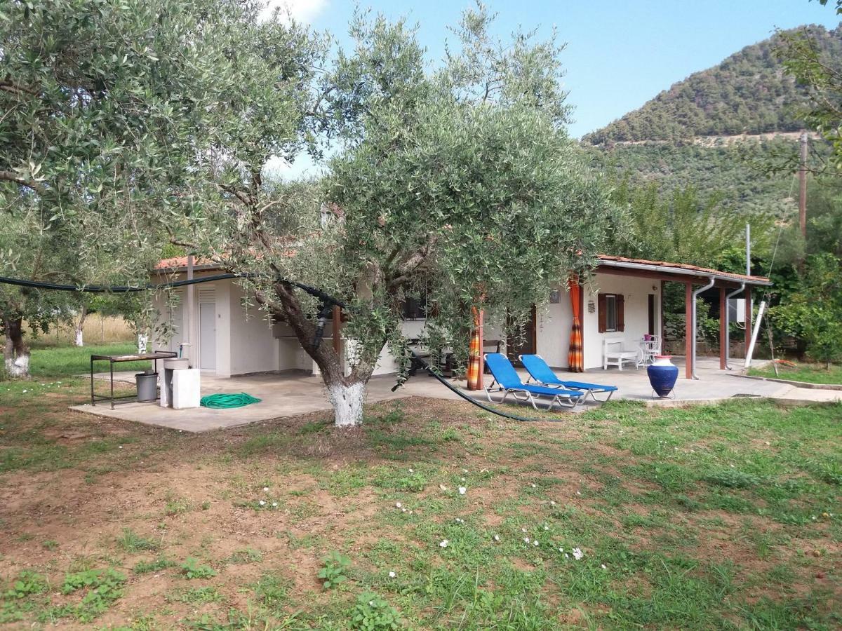 Olive Summer House Chrysi Ammoudia Exterior photo